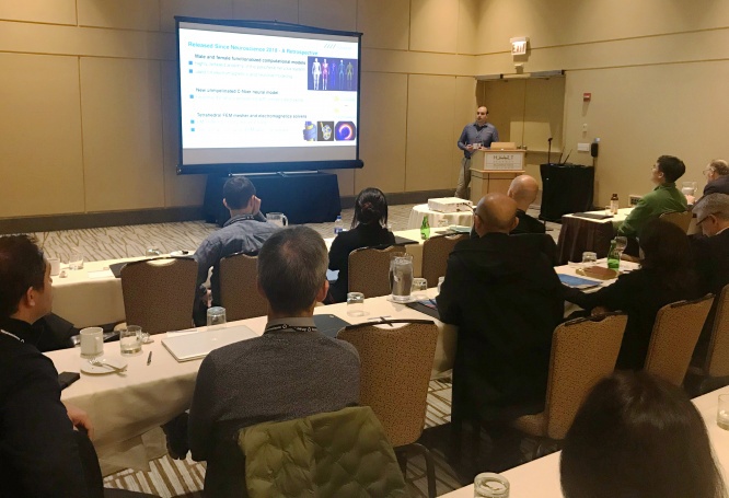 SfN 2019 02
