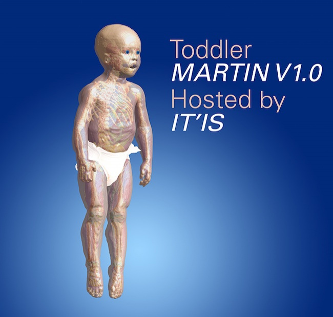 2101 martin vip mm web