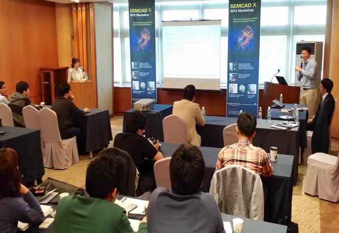 MED session of the SEMCAD X seminar