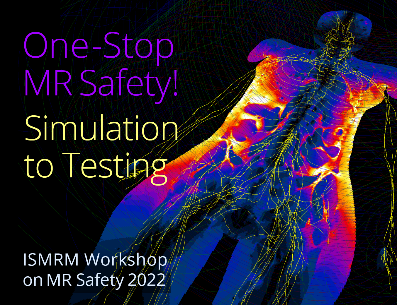 ISMRM Safety